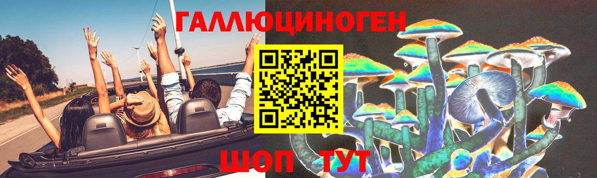 Галлюциногенные грибы прущие грибы  Вход с VPN  Краснокаменск  Псилоцибиновые грибы Psilocybe 